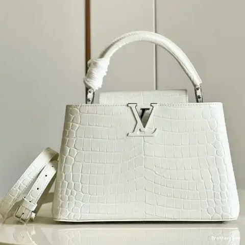 LV Bag 2204YA0085 0815
